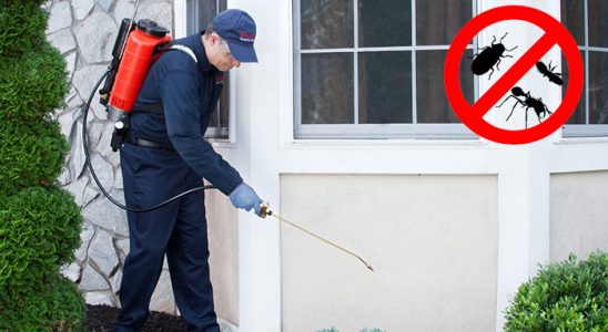 Eğirdir Pire İlaçlama böcek ilaçlama ve haşere kontrolü — ilaclama-tr.com